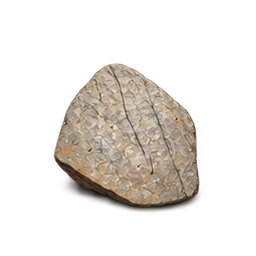 Biotitická rula, exponát 4