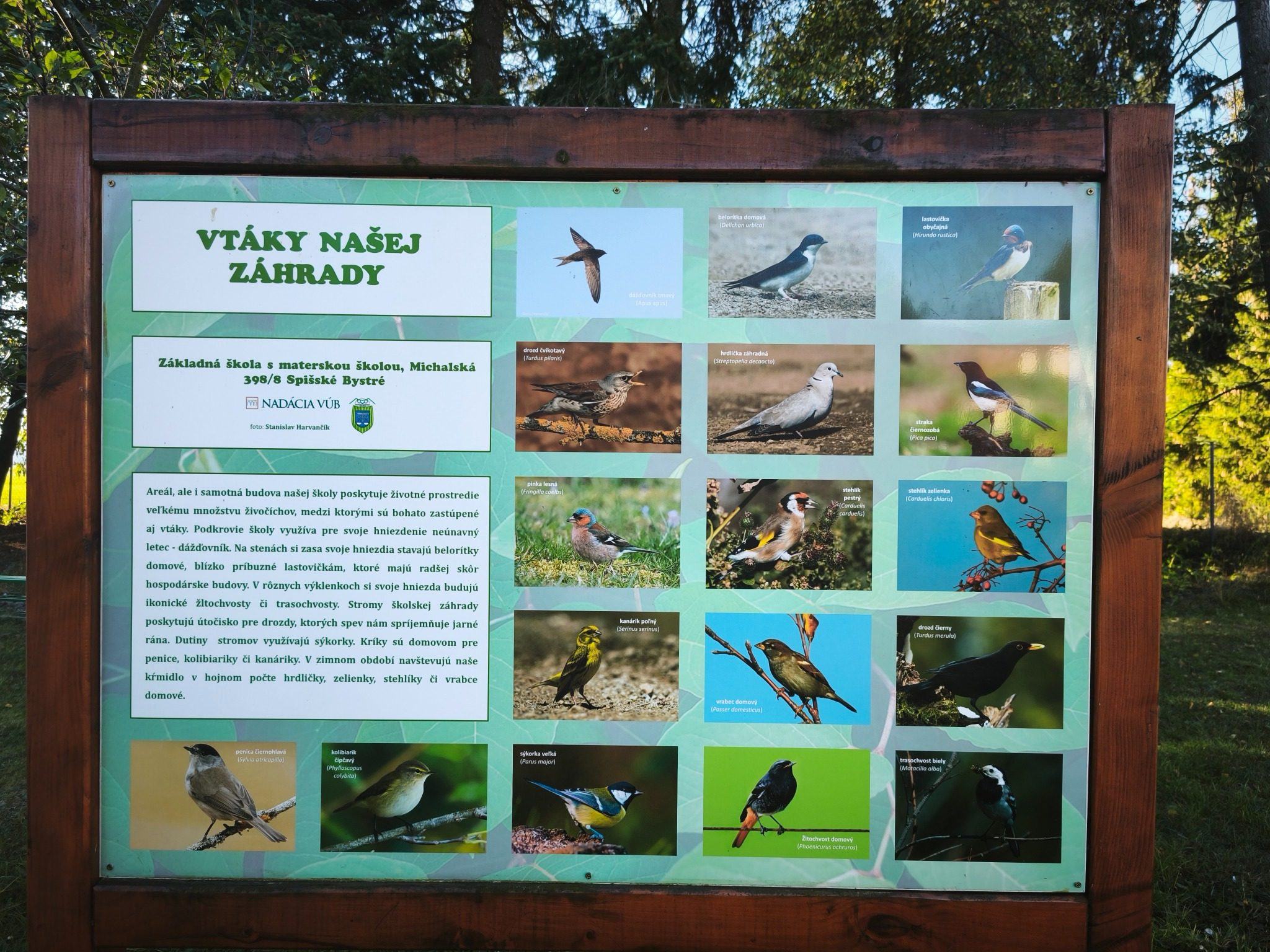 Fotografia pôvodnej tabule Vtáky našej záhrady so sedemnástimi vtákmi